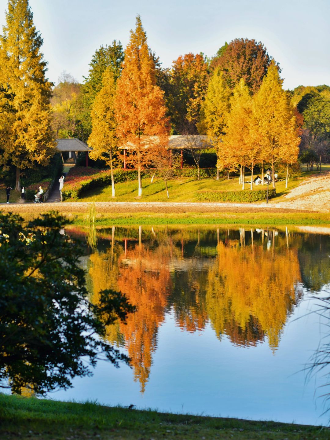 Hunan-Changsha Ecological Garden Park, a niche attraction perfect for learning photography.