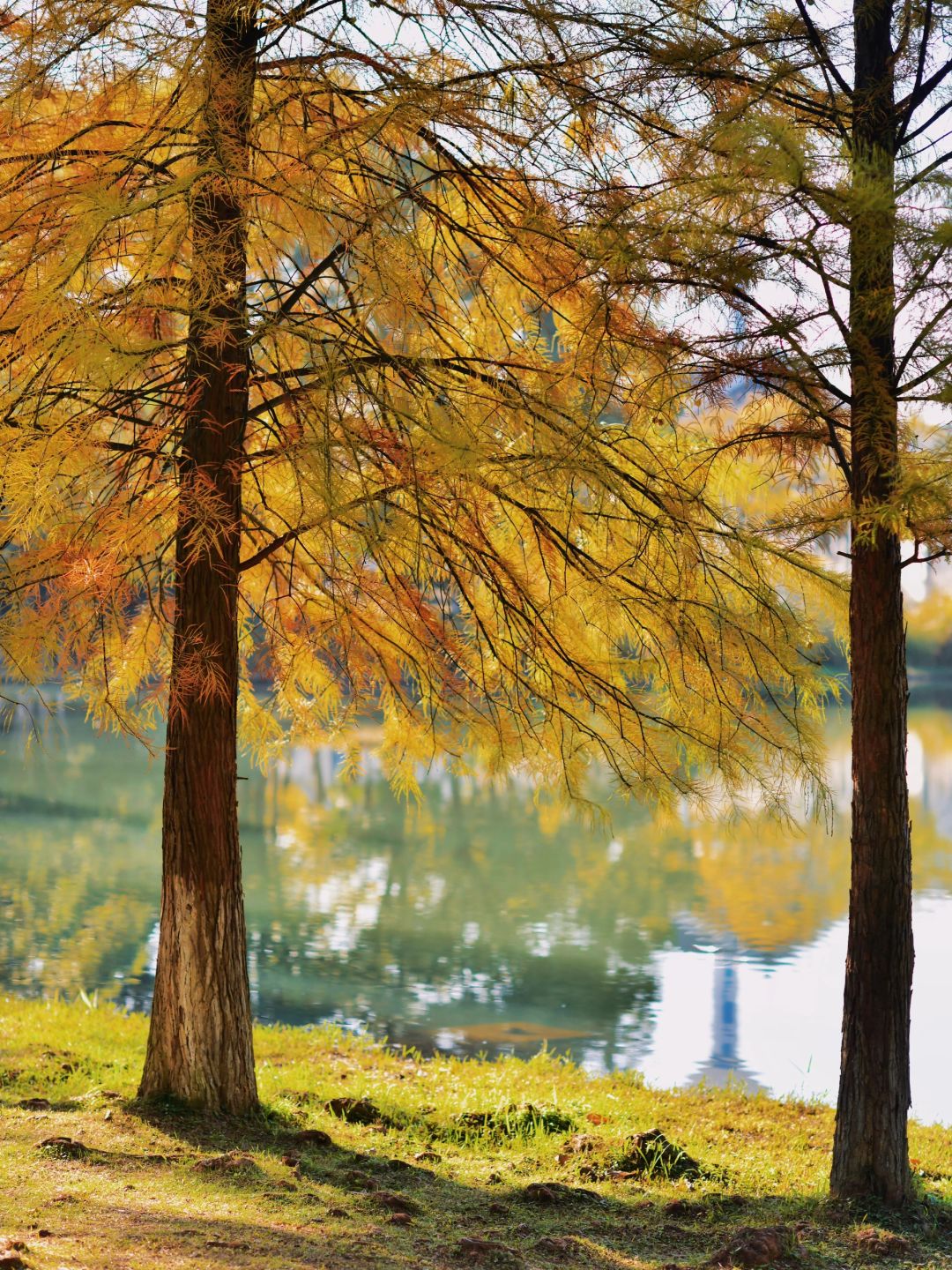 Hunan-Changsha Ecological Garden Park, a niche attraction perfect for learning photography.