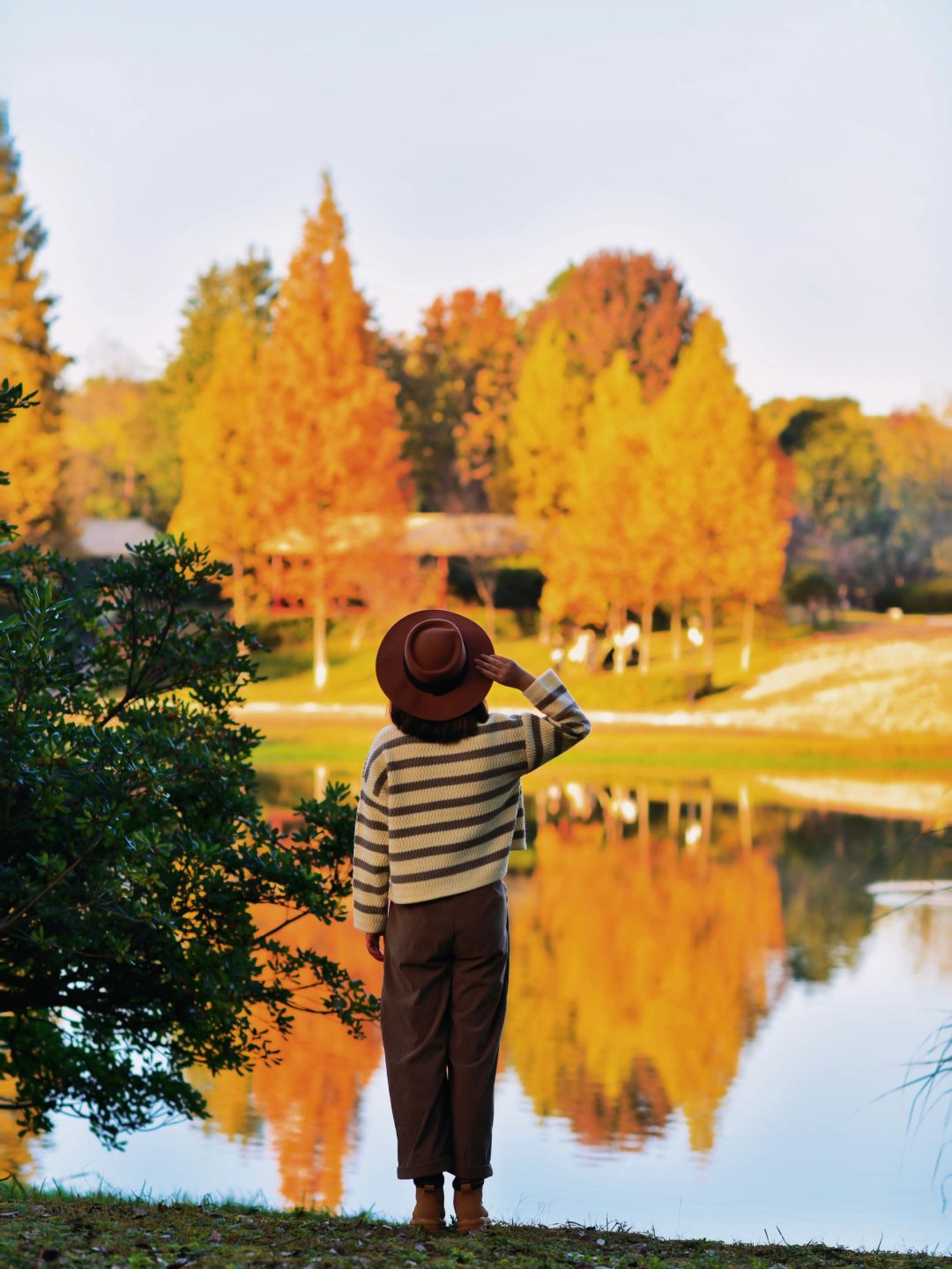 Hunan-Changsha Ecological Garden Park, a niche attraction perfect for learning photography.