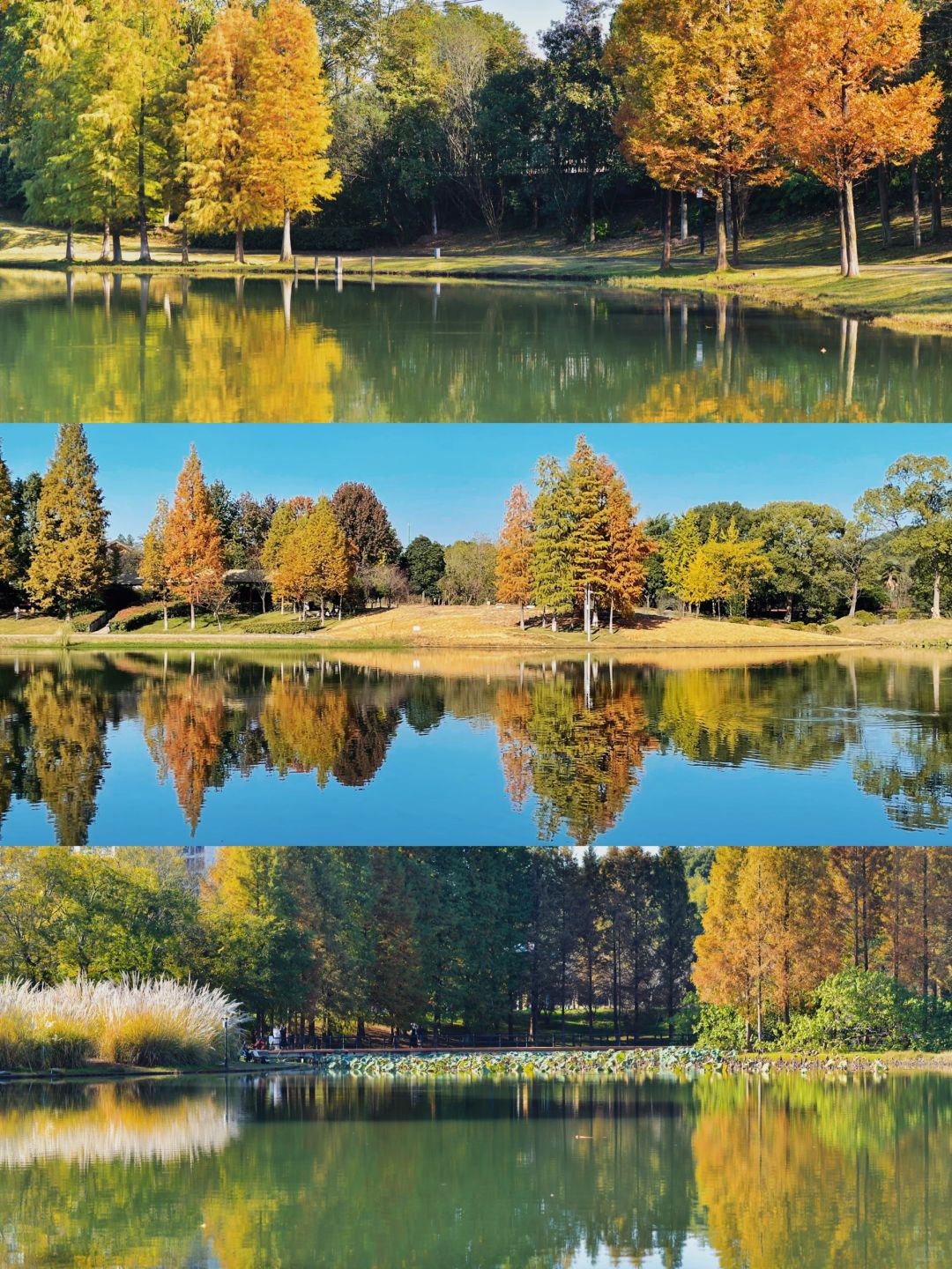 Hunan-Changsha Ecological Garden Park, a niche attraction perfect for learning photography.