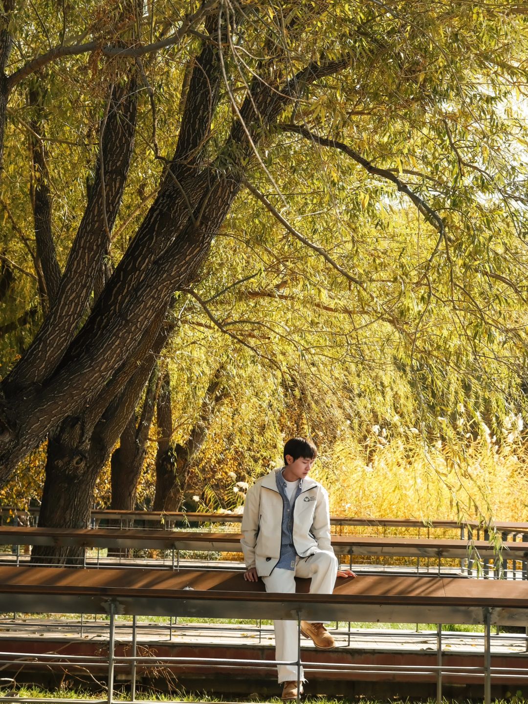 Beijing/Tianjin-Beijing Red Scarf Park is full of autumn atmosphere, suitable for playing with children.