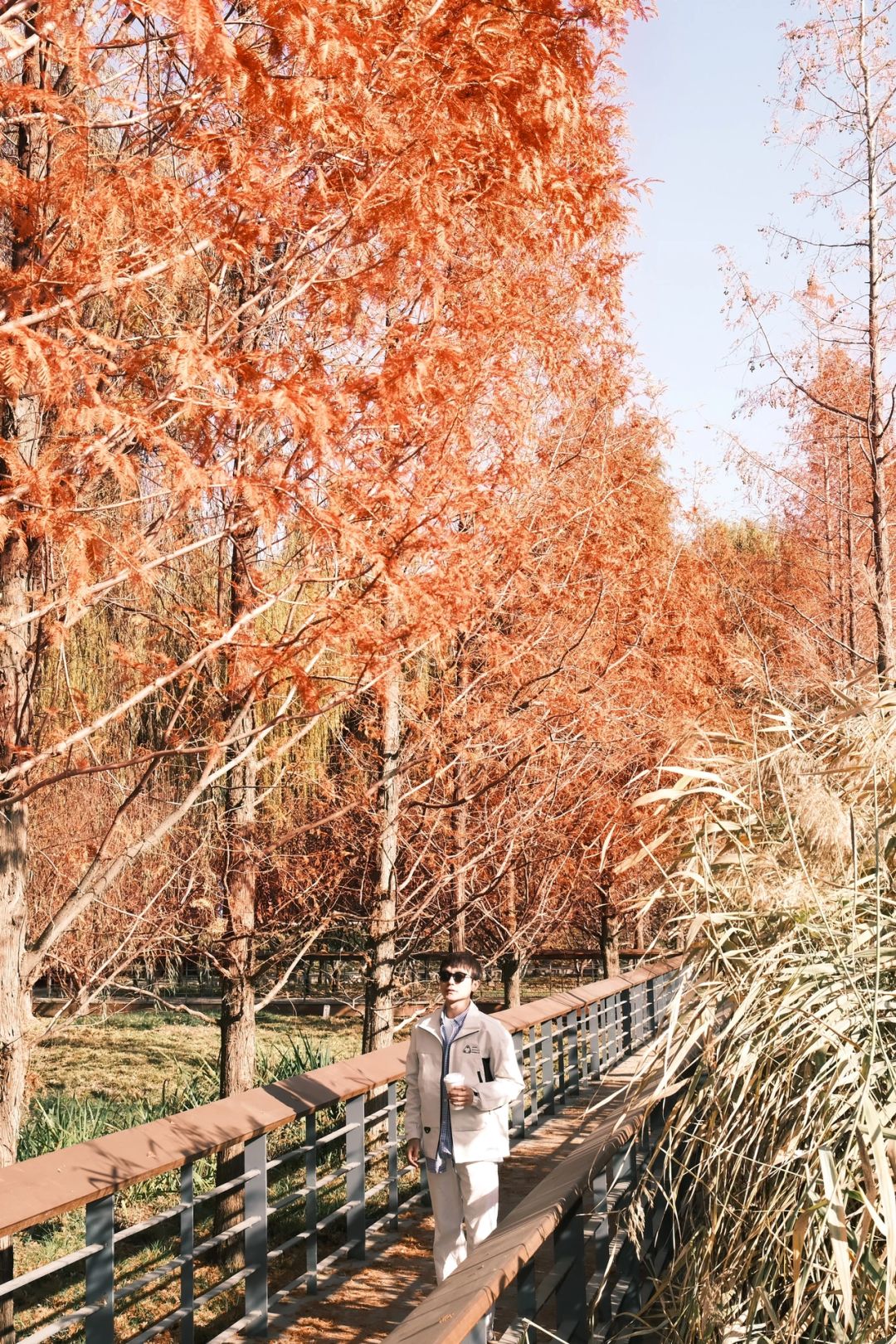 Beijing/Tianjin-Beijing Red Scarf Park is full of autumn atmosphere, suitable for playing with children.