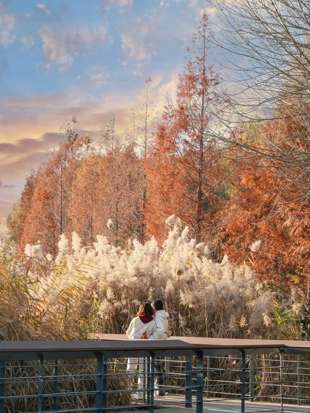 Beijing/Tianjin-Beijing Red Scarf Park is full of autumn atmosphere, suitable for playing with children.