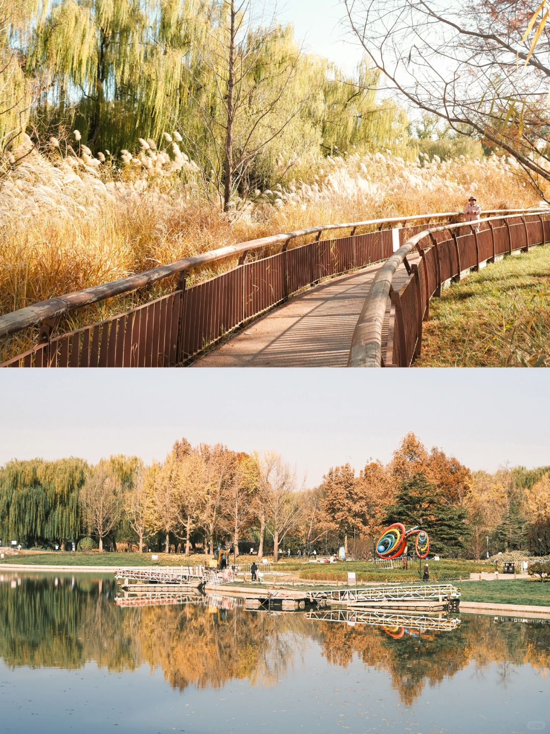 Beijing/Tianjin-Beijing Red Scarf Park is full of autumn atmosphere, suitable for playing with children.