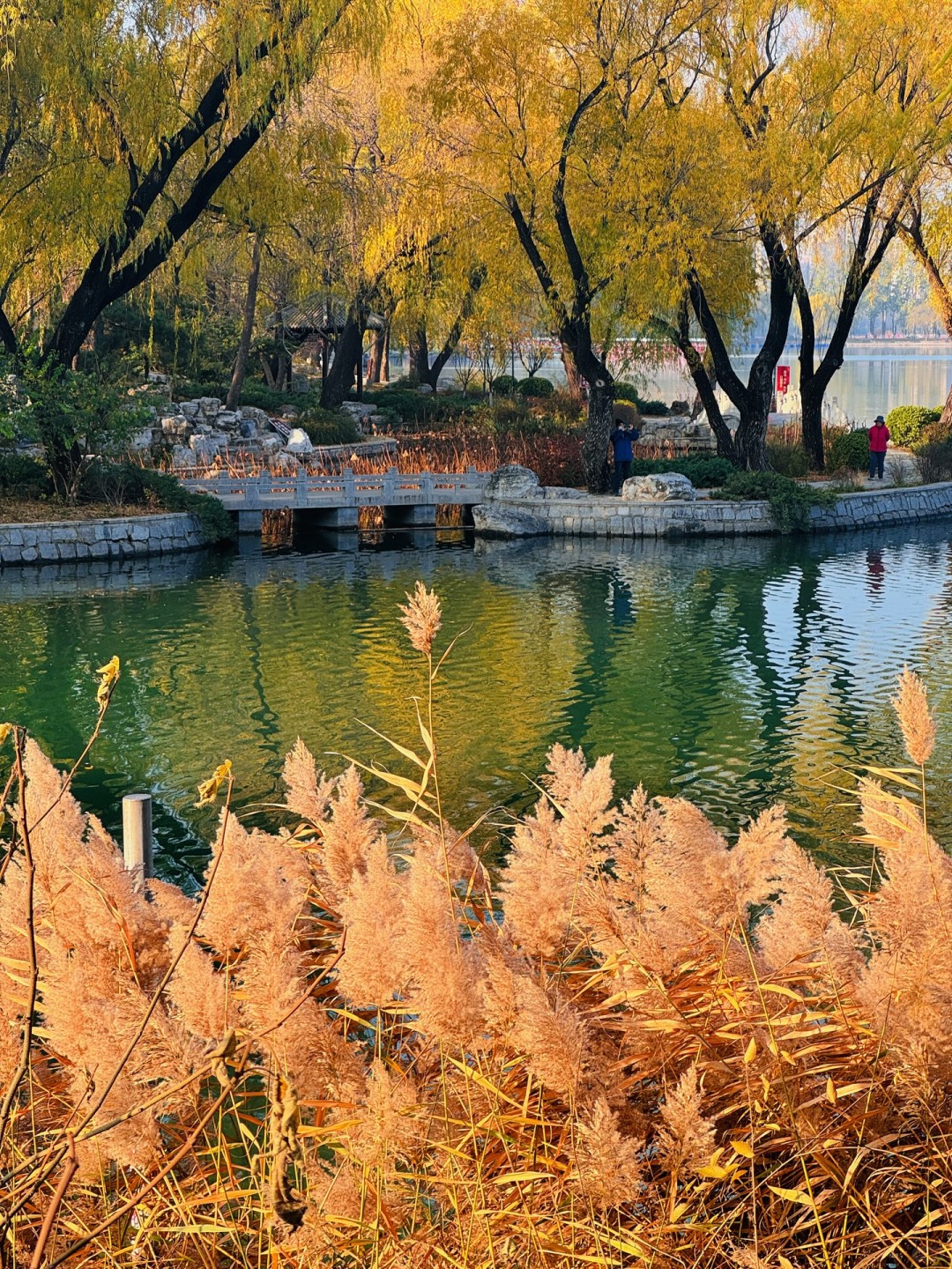 Beijing/Tianjin-The autumn in Yuyuantan Park is like a painting full of golden ginkgo trees and fiery red maple leaves