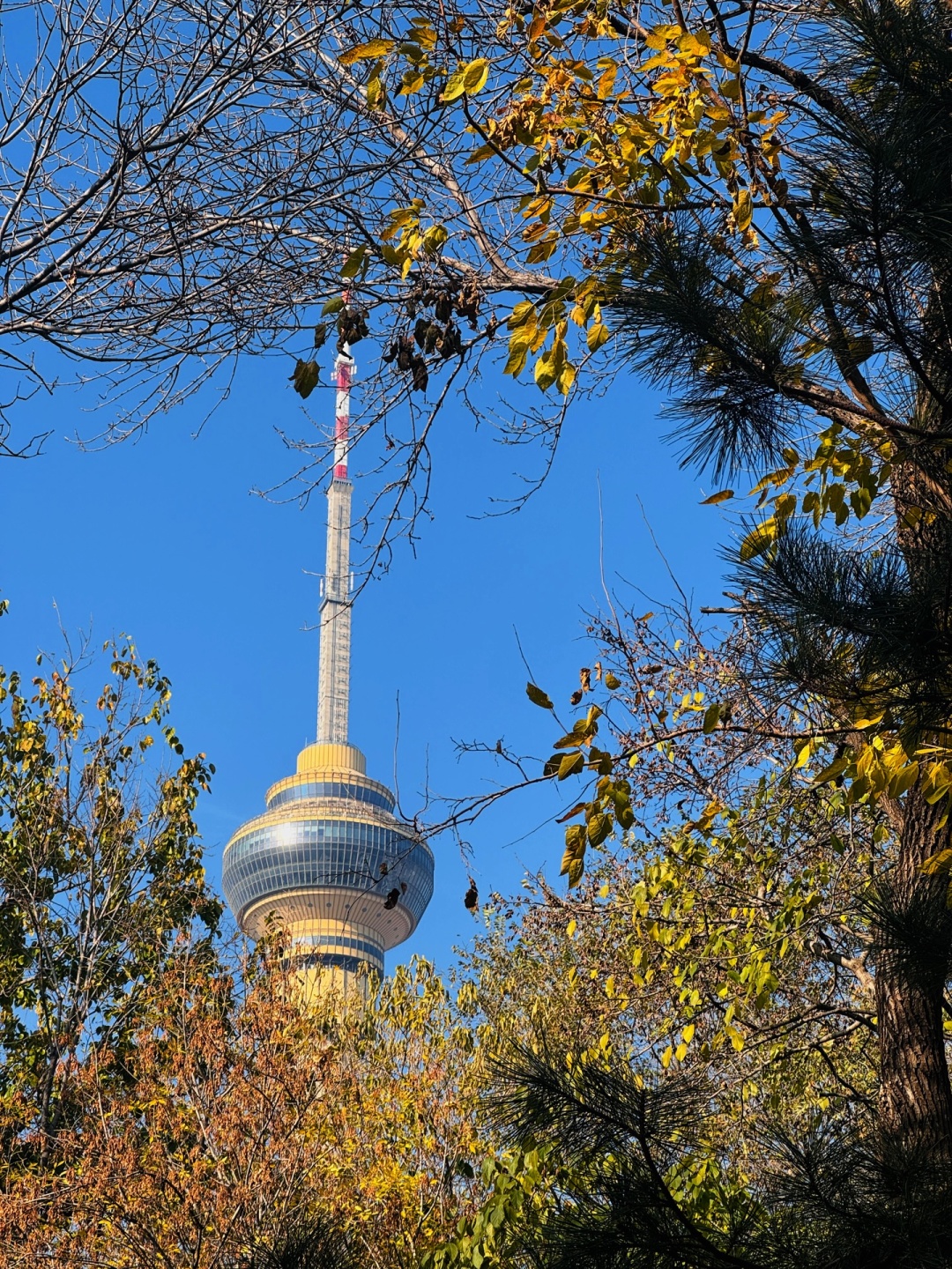 Beijing/Tianjin-The autumn in Yuyuantan Park is like a painting full of golden ginkgo trees and fiery red maple leaves