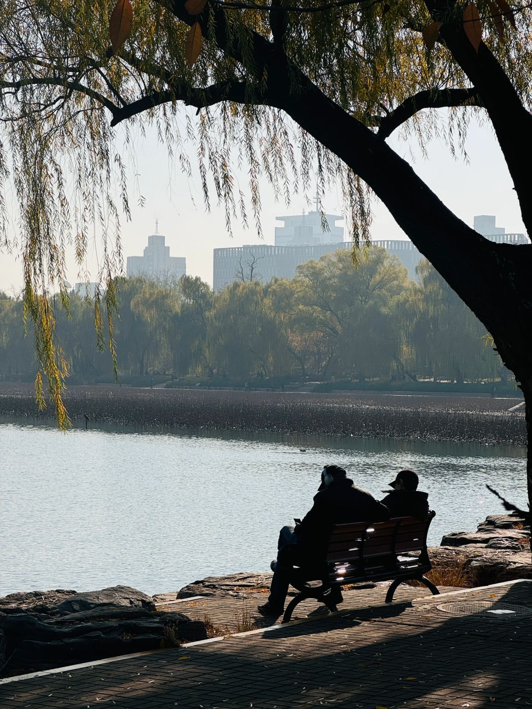 Beijing/Tianjin-The autumn in Yuyuantan Park is like a painting full of golden ginkgo trees and fiery red maple leaves