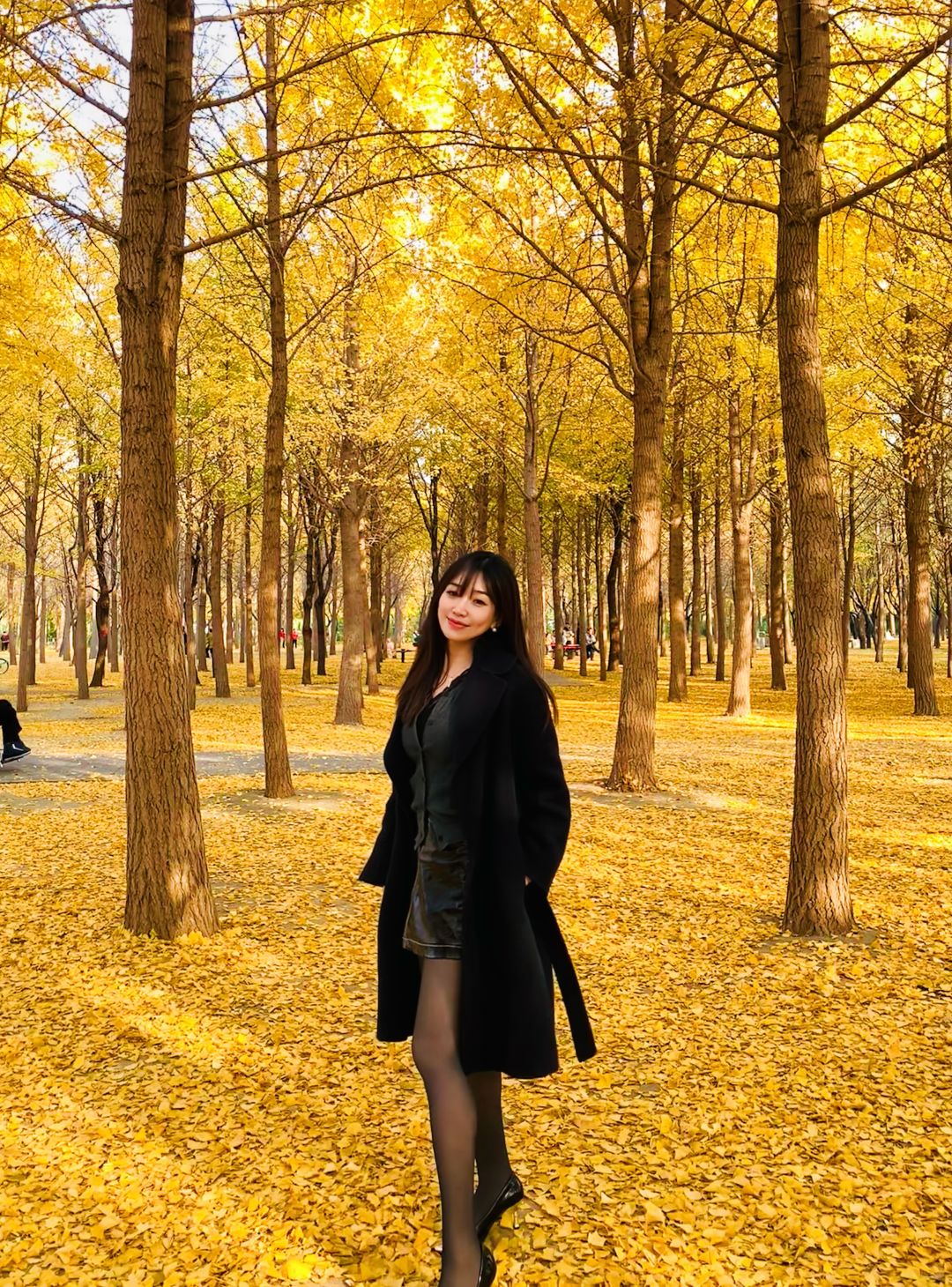 Beijing/Tianjin-The Ginkgo Rain in Fengyuan Park and the Beauty of Nature