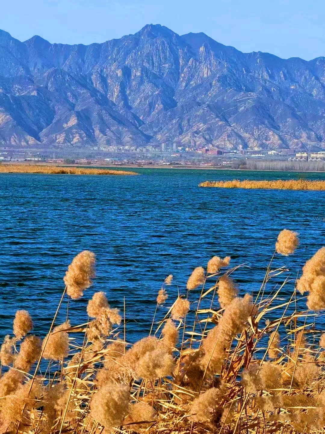 Beijing/Tianjin-Beijing Baikal Lake Park has a variety of beautiful bird species.