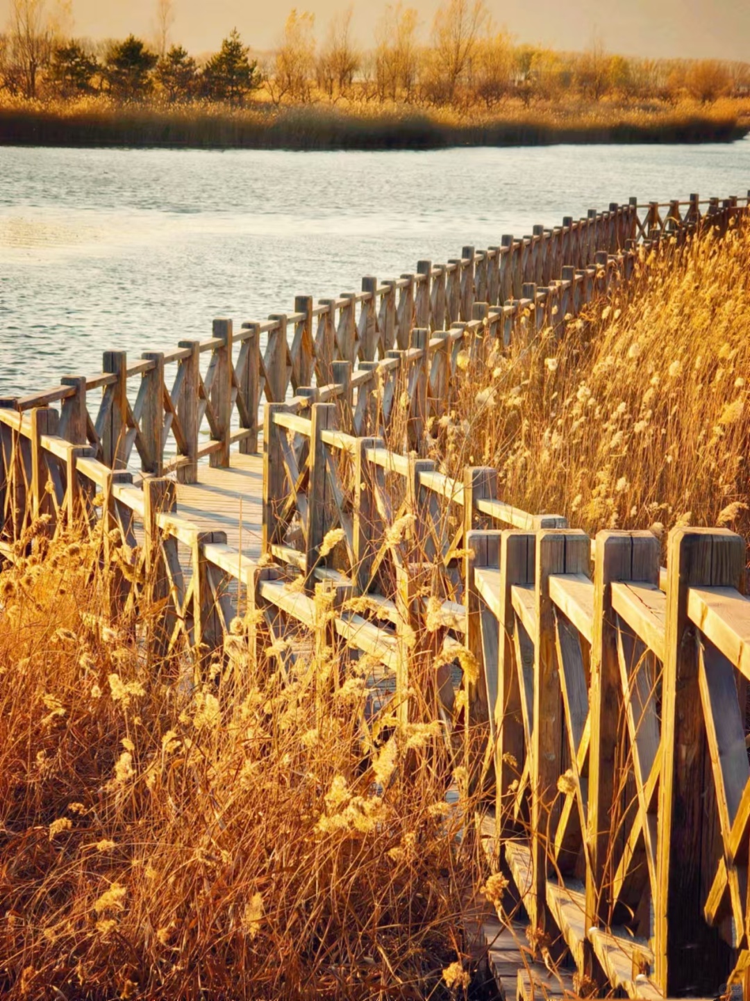 Beijing/Tianjin-Beijing Baikal Lake Park has a variety of beautiful bird species.