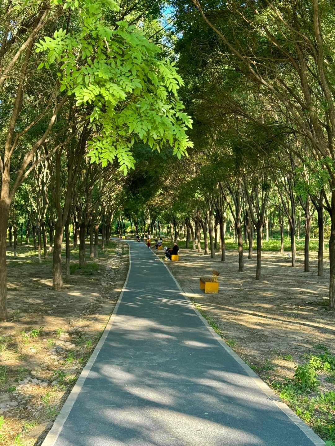 Beijing/Tianjin-Appreciating the urban scenery of Beijing from the observation deck of Nanyuan Forest Wetland Park