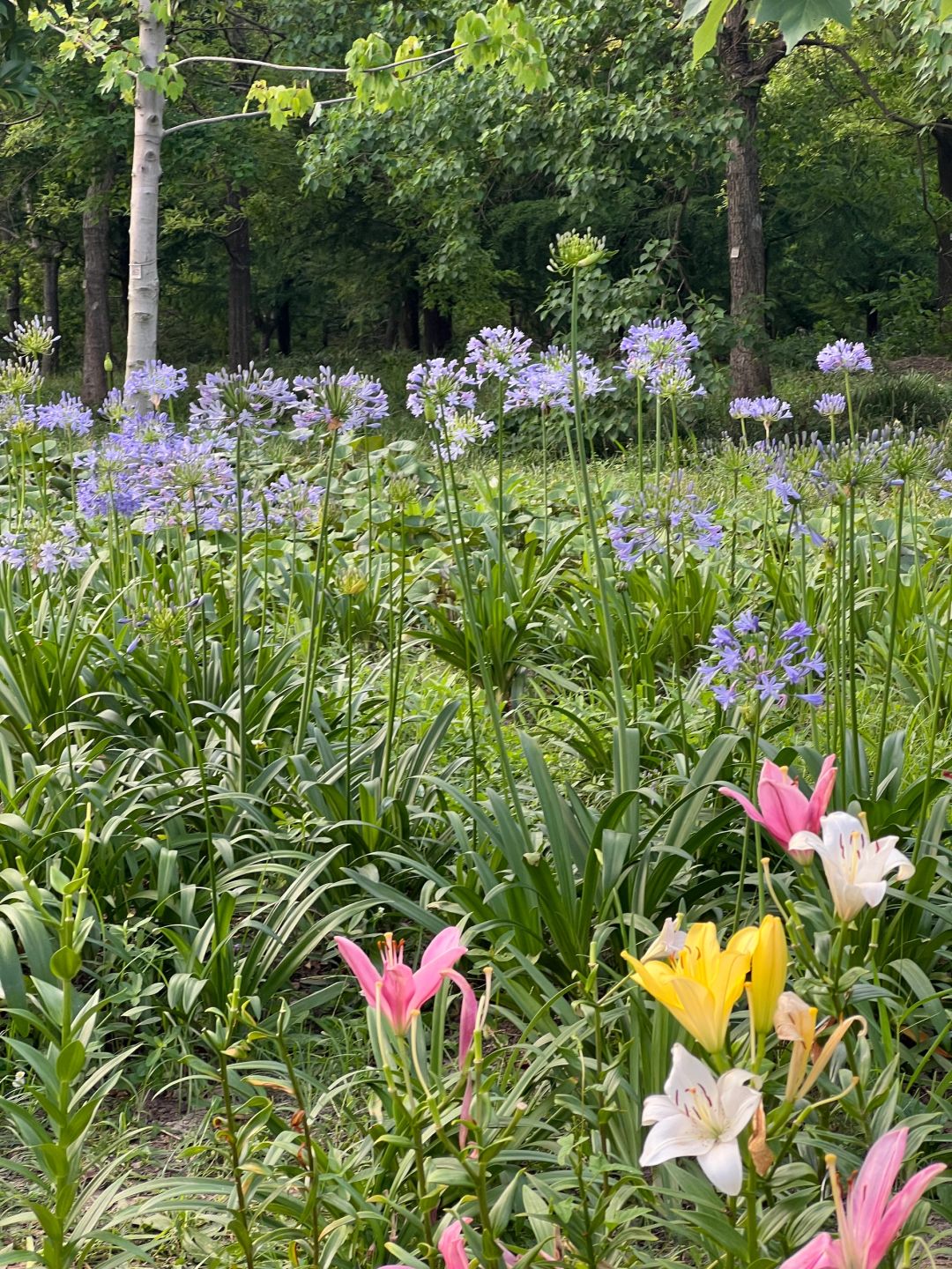 Jiangsu/Zhejiang/Shanghai-Shanghai World Expo Cultural Park: The Perfect Integration of Urban Oasis and Modern Miracle