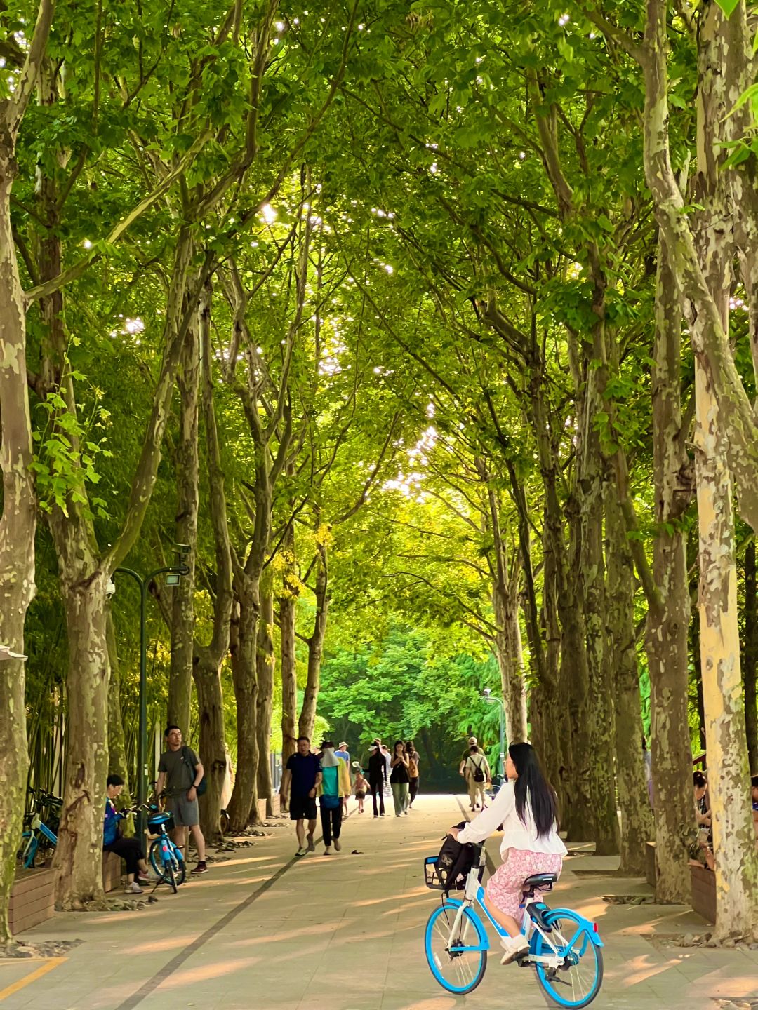 Jiangsu/Zhejiang/Shanghai-Shanghai World Expo Cultural Park: The Perfect Integration of Urban Oasis and Modern Miracle