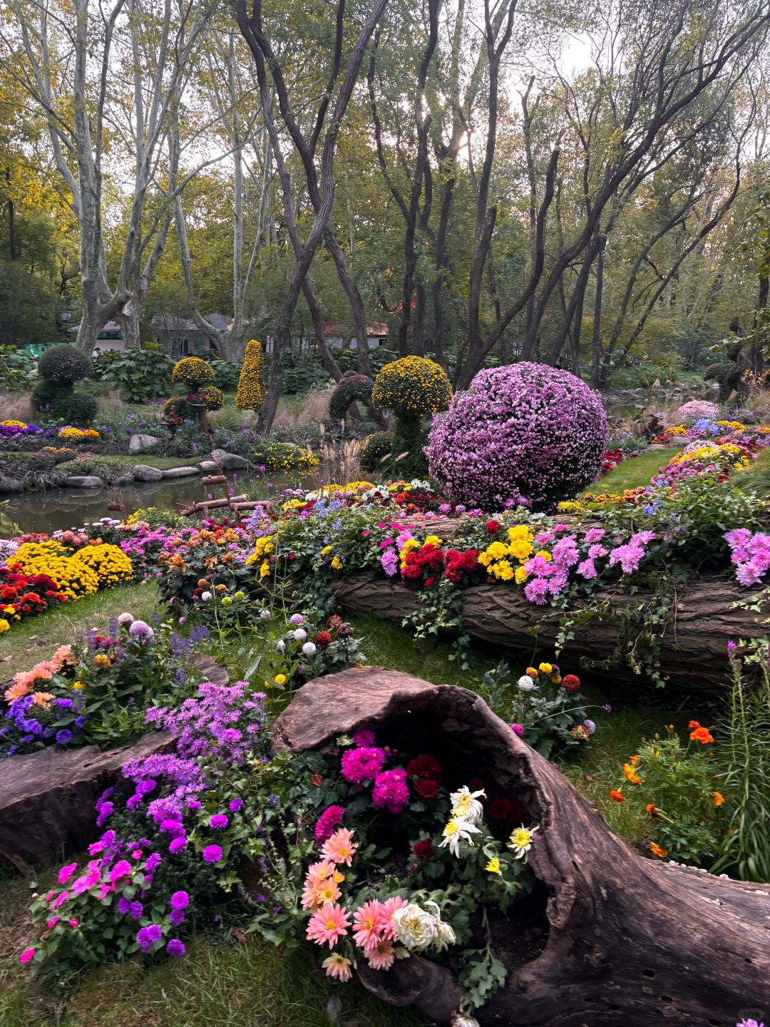 Jiangsu/Zhejiang/Shanghai-Gongqing Forest Park is as beautiful as Monet's garden in his paintings