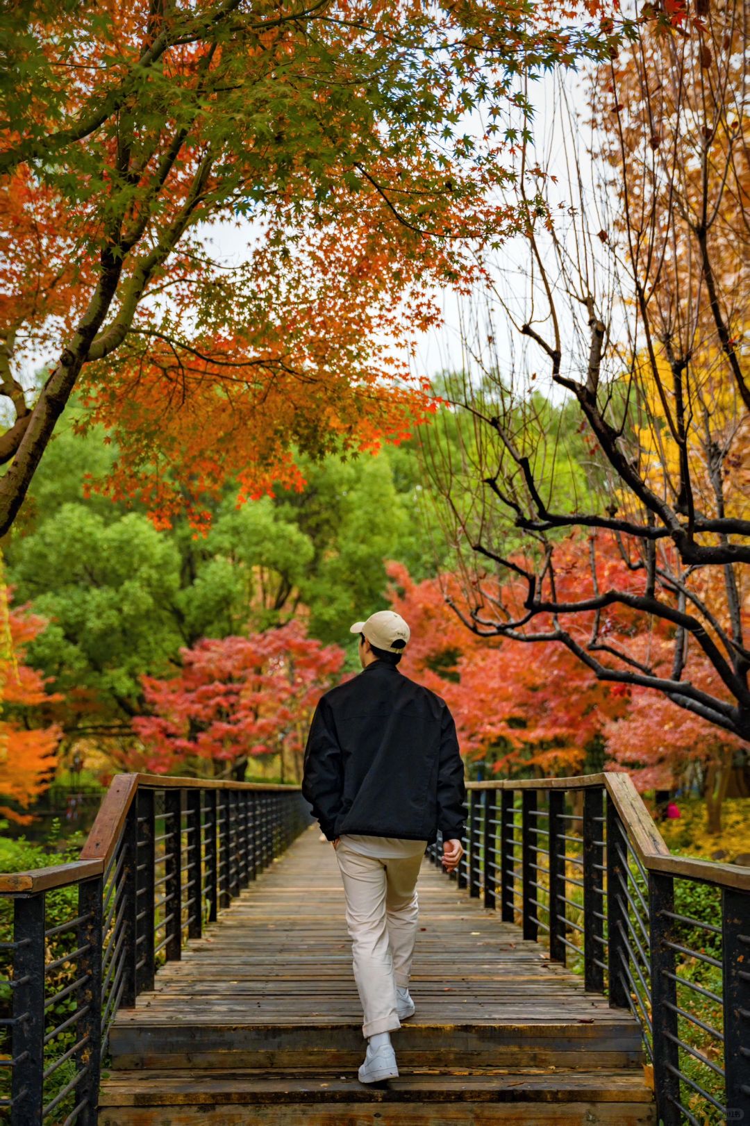 Jiangsu/Zhejiang/Shanghai-Autumn in Shanghai Yanzhong Square Park is more beautiful than autumn in Beijing