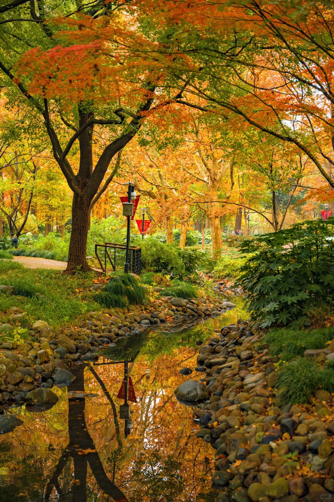 Jiangsu/Zhejiang/Shanghai-Autumn in Shanghai Yanzhong Square Park is more beautiful than autumn in Beijing