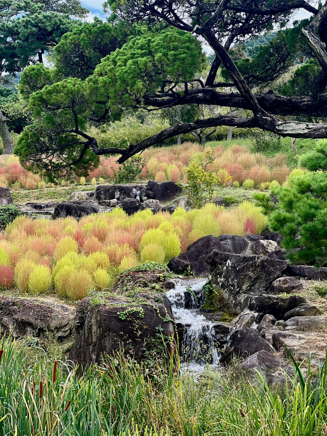 Busan/Jeju-Gasan Suphia Park in Busan (가산 수피아), a dating spot for couples and lovers in Korea