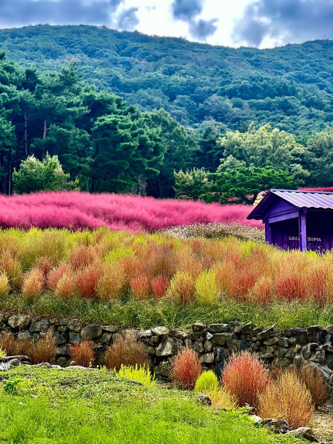 Busan/Jeju-Gasan Suphia Park in Busan (가산 수피아), a dating spot for couples and lovers in Korea