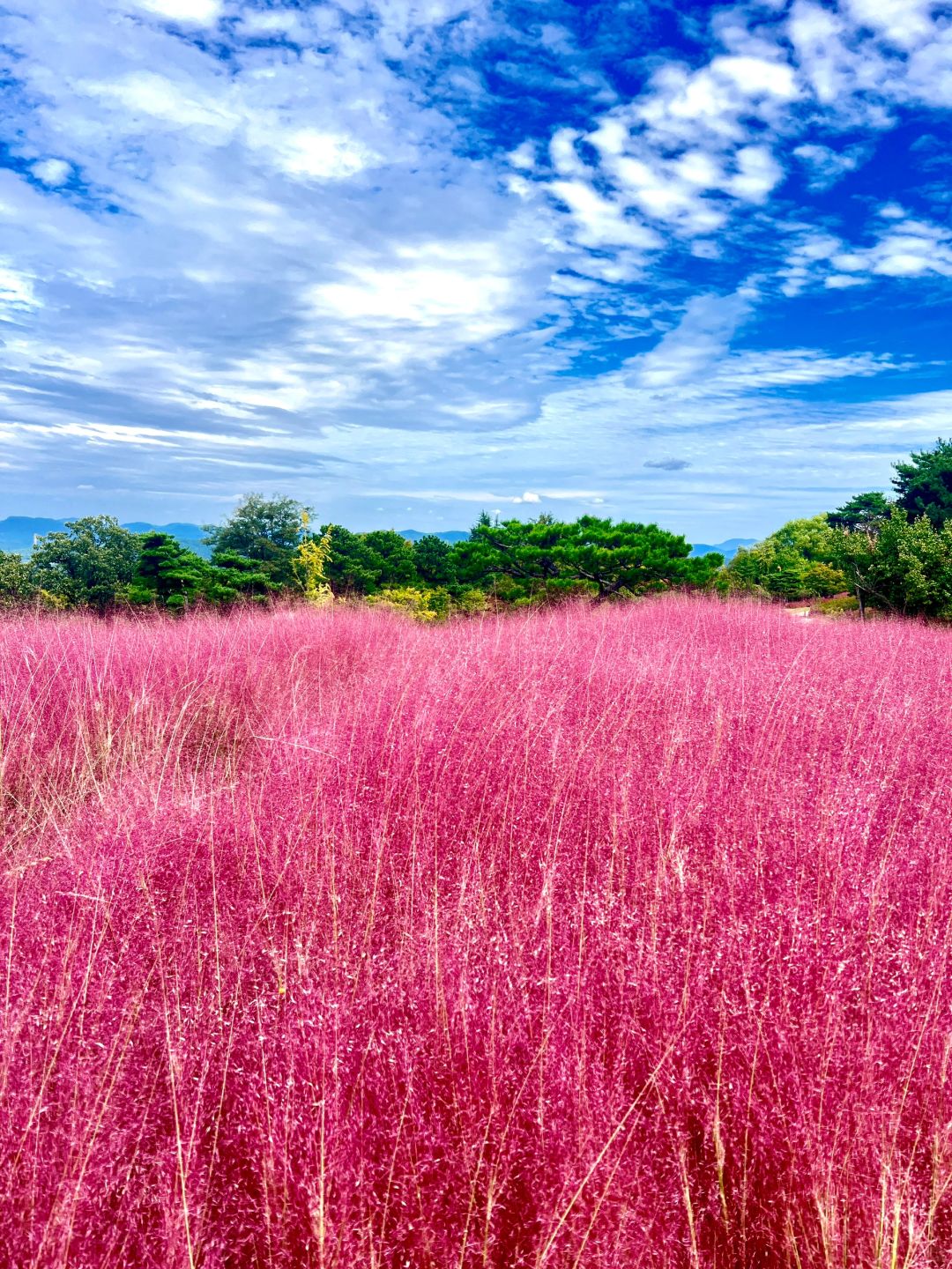 Busan/Jeju-Gasan Suphia Park in Busan (가산 수피아), a dating spot for couples and lovers in Korea