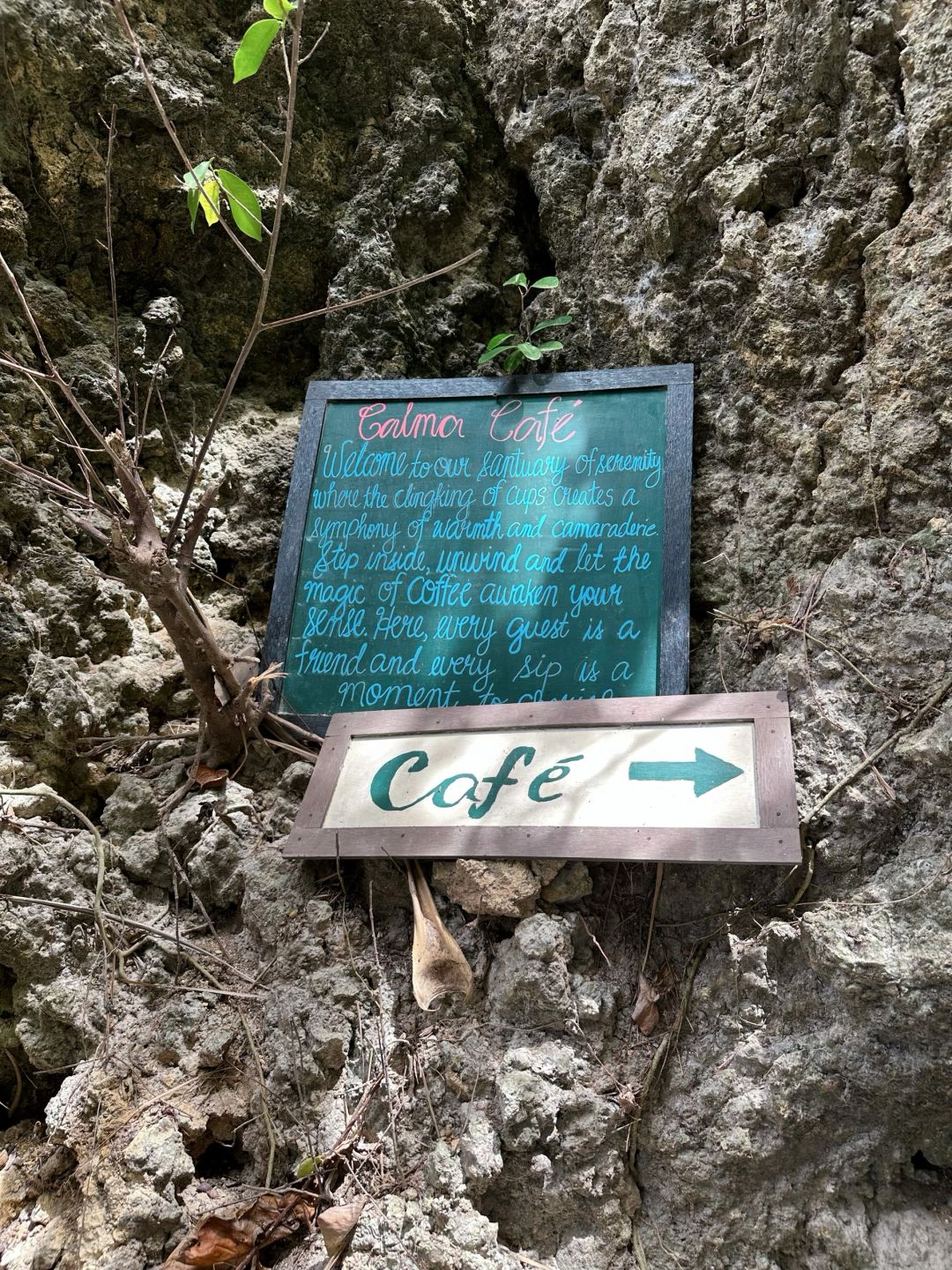 Boracay-Calma Cafe, a seaside cafe in Boracay, where you can lie in a hammock and bask in the sun