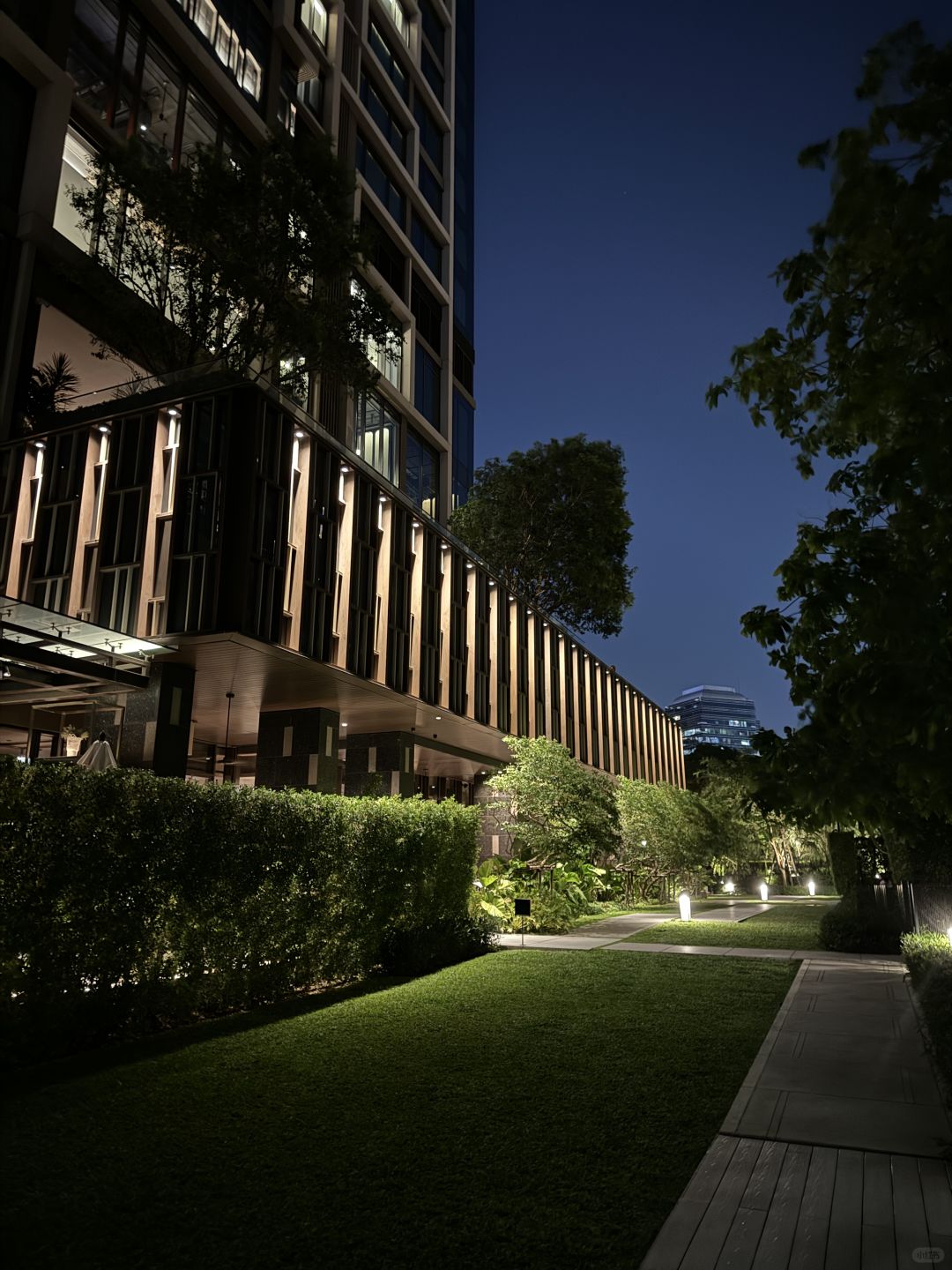 Bangkok-Kimpton Maalai Hotel Bangkok, rich shrub design, away from the hustle and bustle of the crowd