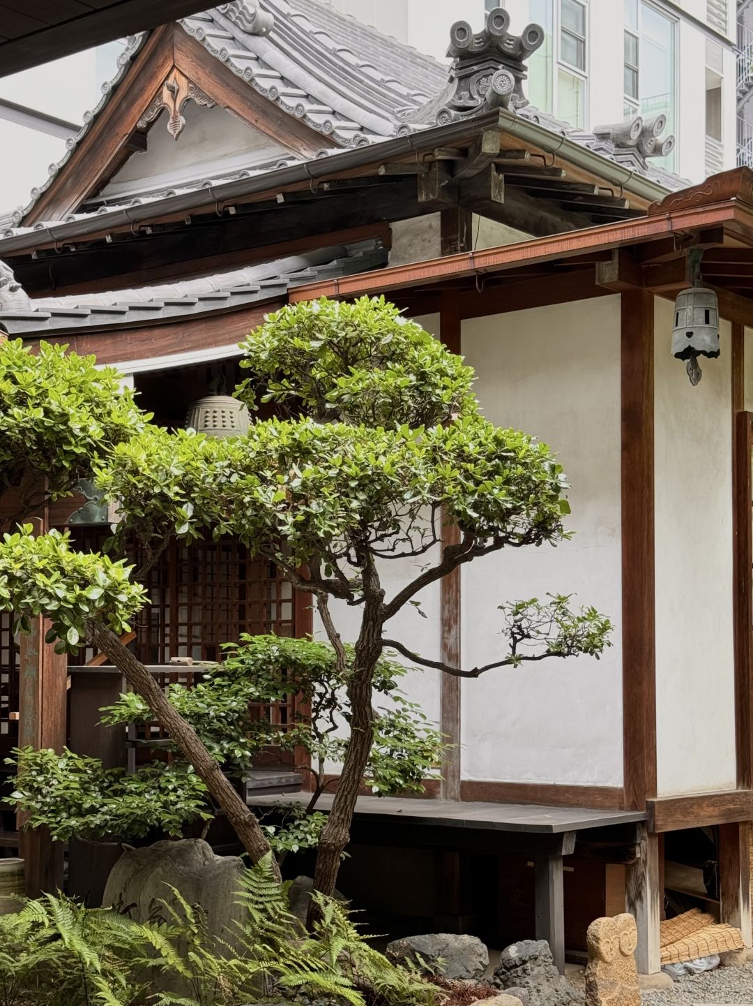 Osaka-Exploring Osaka's Hidden Gems: From Orange Street to 400-year-old  Manpukuji Temple Café