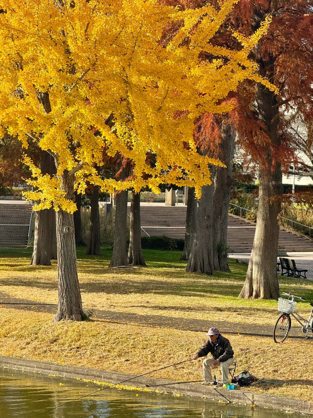 Tokyo-Autumn secret spot: 🍁the secret place of red leaves in Mizumoto Park, Tokyo, Japan