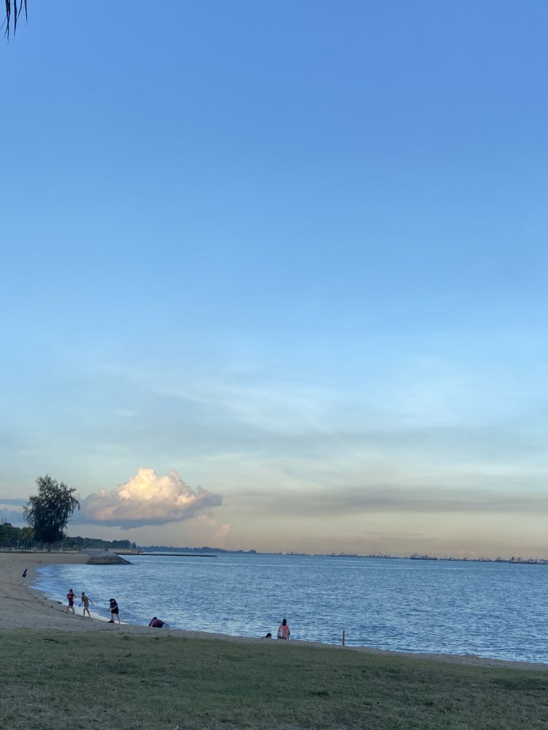 Singapore-Cycling with locals in Singapore's East Coast Park！