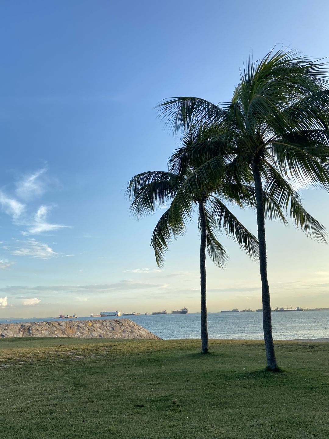 Singapore-Cycling with locals in Singapore's East Coast Park！