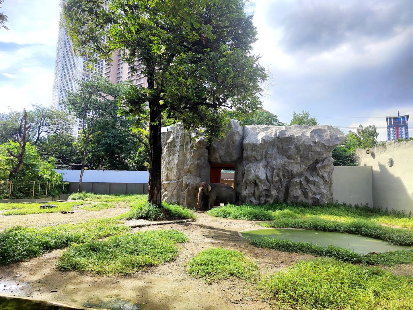 Manila/Luzon-Manila Zoo, visitors can take boat ride to admire wild ducks and mandarin ducks in the lake