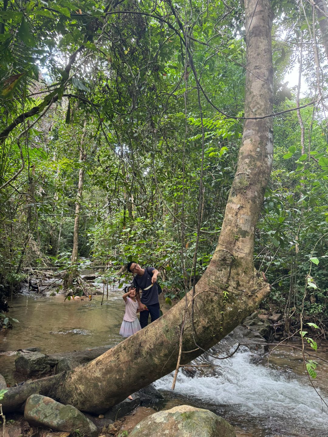 Phuket-Enchanting Phuket's Khao Phra Thaew Tropical Rainforest - A Magical Adventure Awaits!