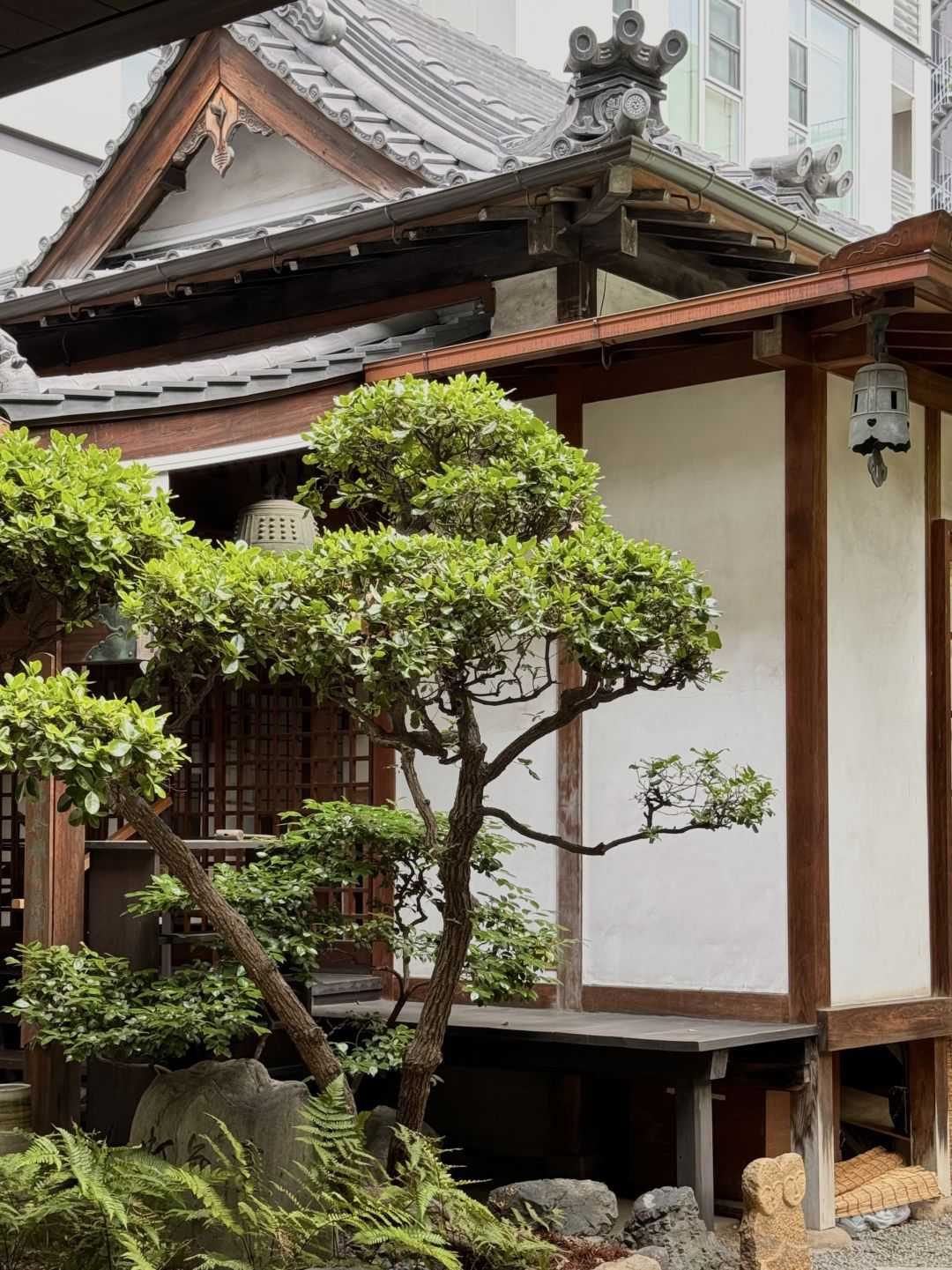 Osaka-Osaka Tachibana Street Walking Tour, Drink Coffee at the 400-year-old Temple Café Chanei