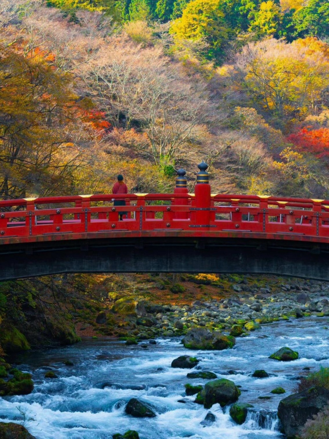 Tokyo-One-day trip destinations in the suburbs of Tokyo --Shonan Coast, Hakone, Hayama, Yokohama