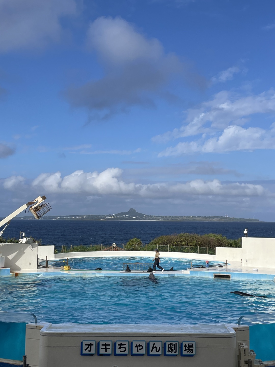 Okinawa-Okinawa Churaumi Aquarium, the huge tank and whale sharks give you a shocking feeling