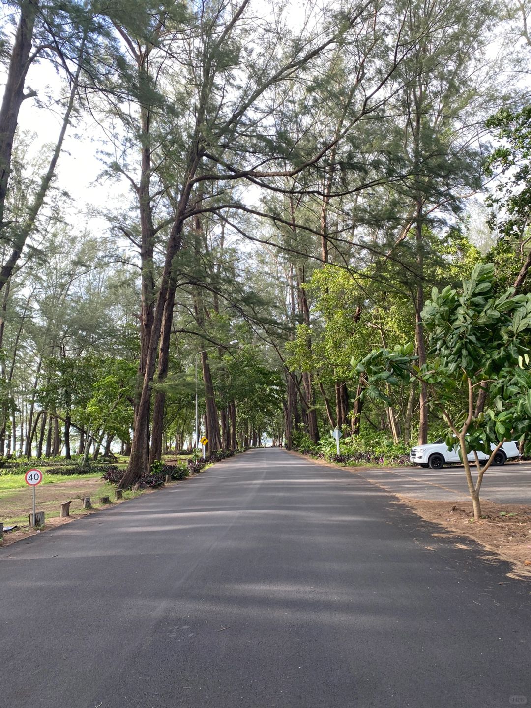 Phuket-Sirinath National Park/Nai Yang Beach in Phuket, experience forests, beaches and camping