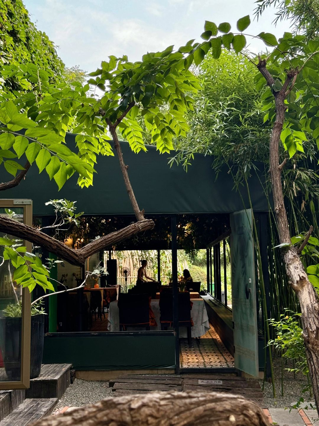 Beijing/Tianjin-Beijing has a western restaurant where you can eat with peacocks!