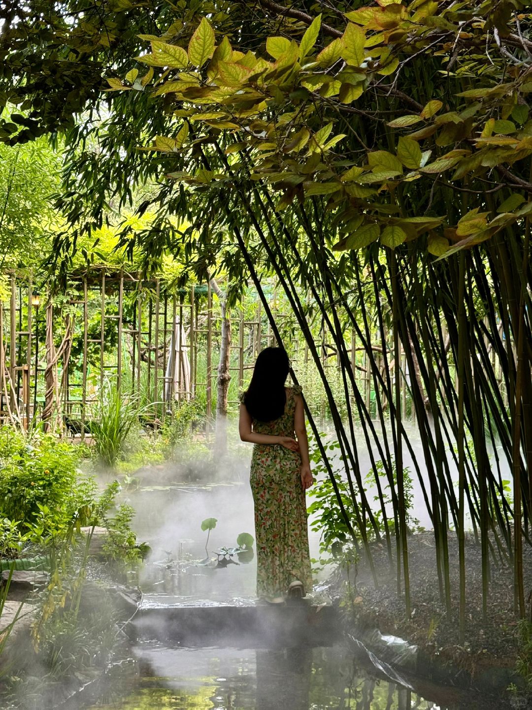 Beijing/Tianjin-Beijing has a western restaurant where you can eat with peacocks!