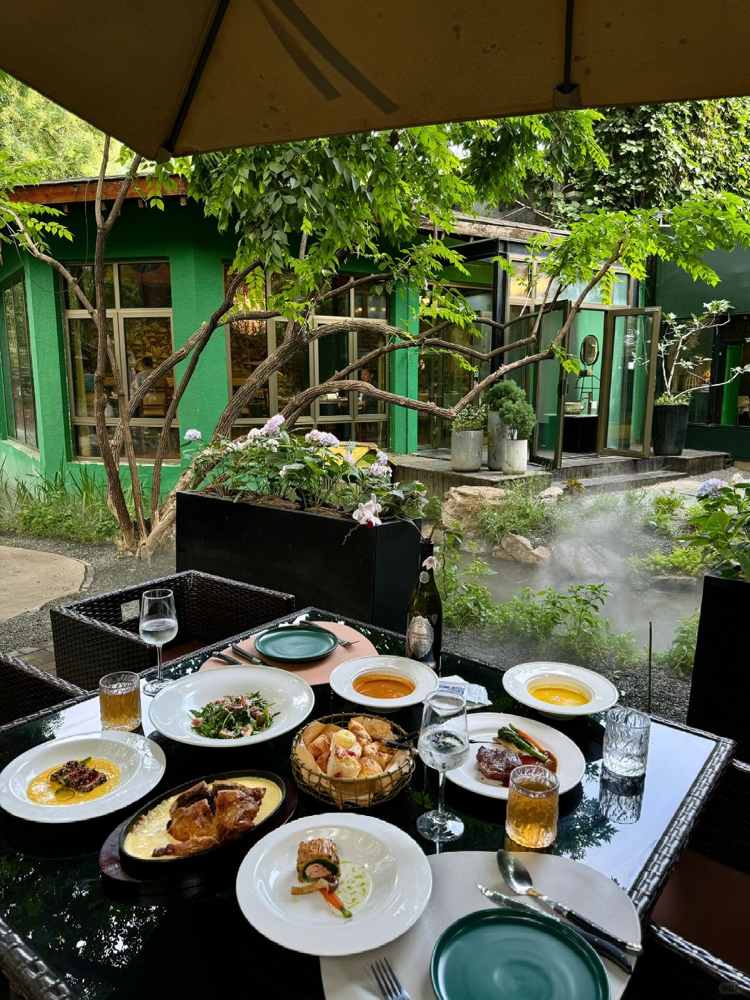 Beijing/Tianjin-Beijing has a western restaurant where you can eat with peacocks!