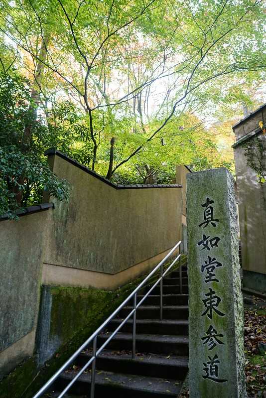 Osaka-Zhenyudang, Kyoto, Japan. Free attraction to enjoy maple viewing while avoiding the crowds