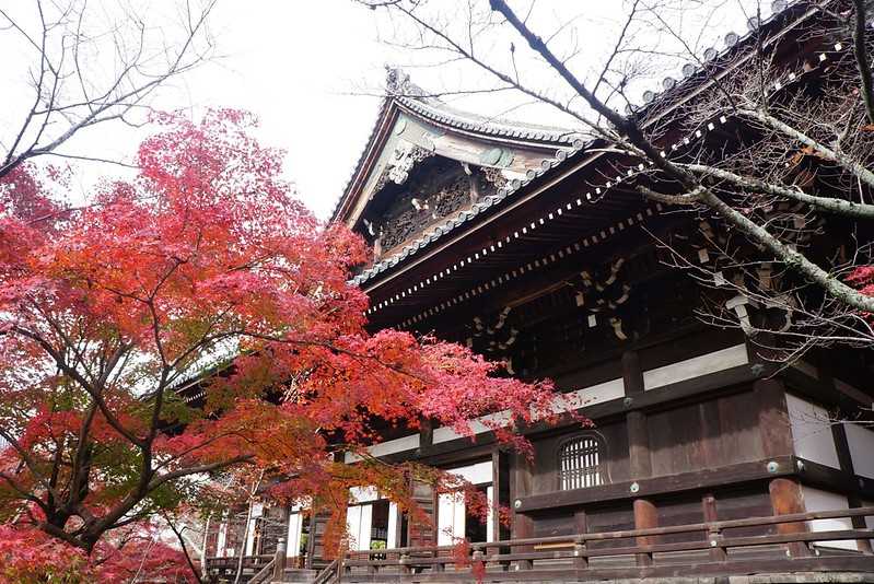 Osaka-Zhenyudang, Kyoto, Japan. Free attraction to enjoy maple viewing while avoiding the crowds