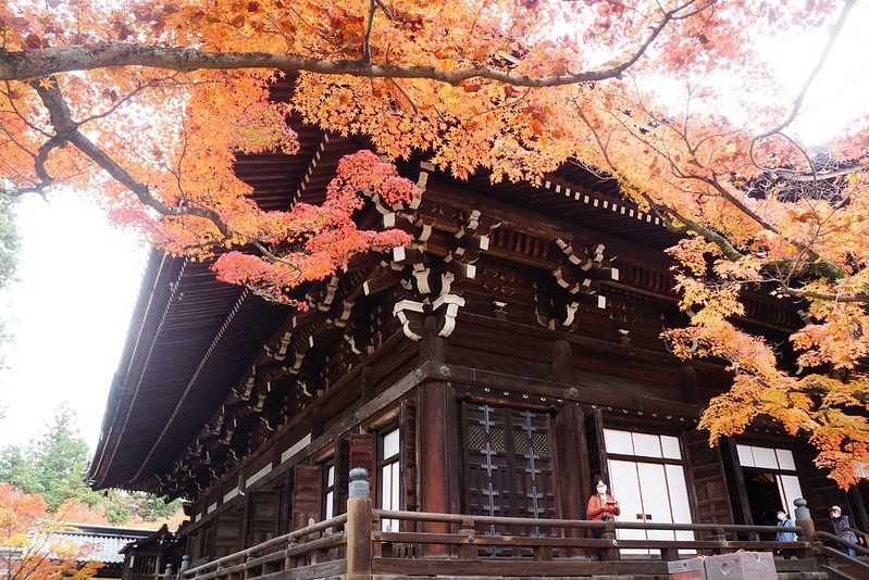 Osaka-Zhenyudang, Kyoto, Japan. Free attraction to enjoy maple viewing while avoiding the crowds