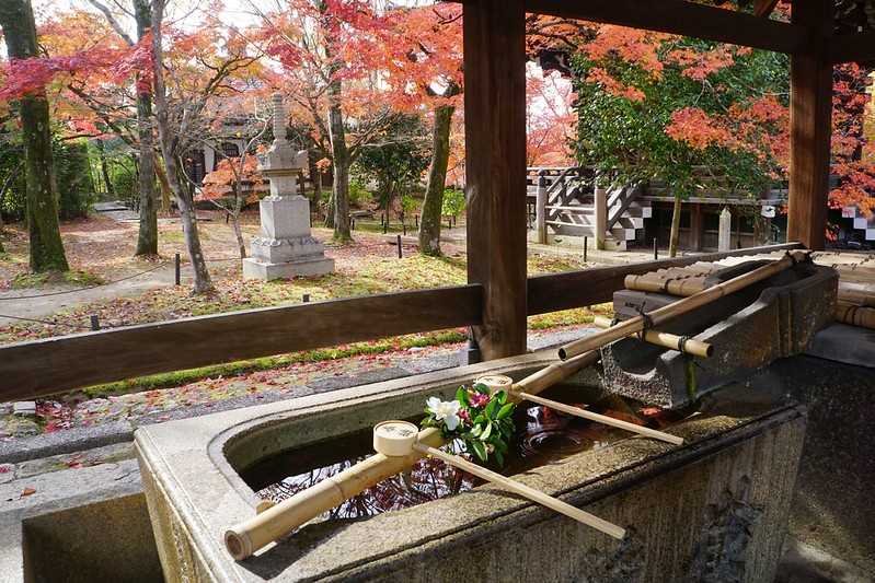 Osaka-Zhenyudang, Kyoto, Japan. Free attraction to enjoy maple viewing while avoiding the crowds