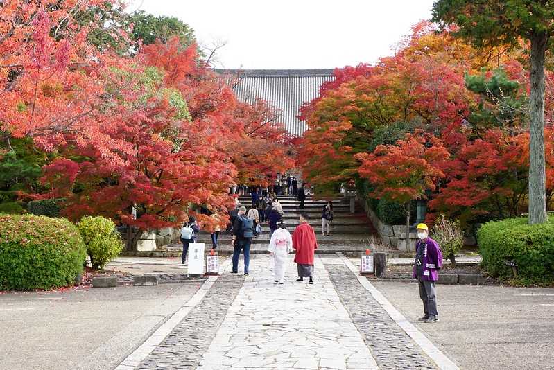 Osaka-Zhenyudang, Kyoto, Japan. Free attraction to enjoy maple viewing while avoiding the crowds