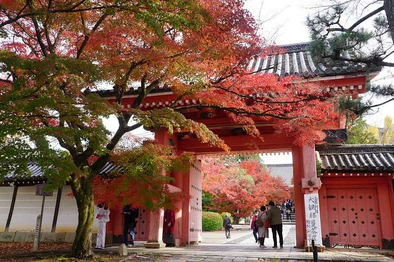 Osaka-Zhenyudang, Kyoto, Japan. Free attraction to enjoy maple viewing while avoiding the crowds