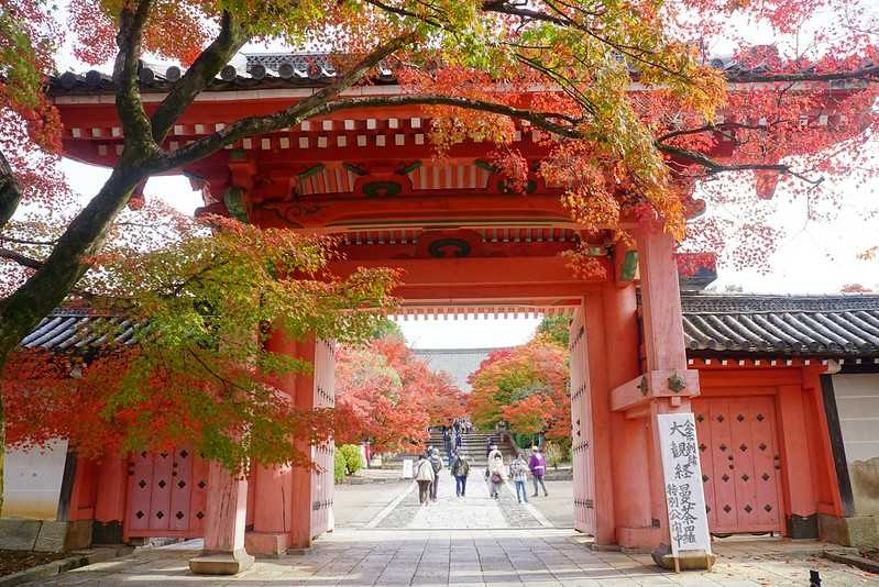 Osaka-Zhenyudang, Kyoto, Japan. Free attraction to enjoy maple viewing while avoiding the crowds