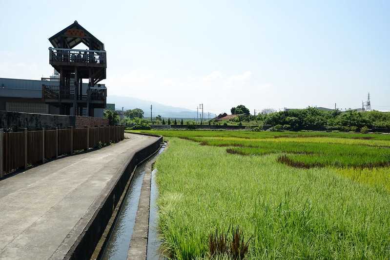 Taiwan-One-day tour in Taoyuan and Miaoli Garden. Rush Cultural Center Rice Field Painting and Chinese Pottery Kiln