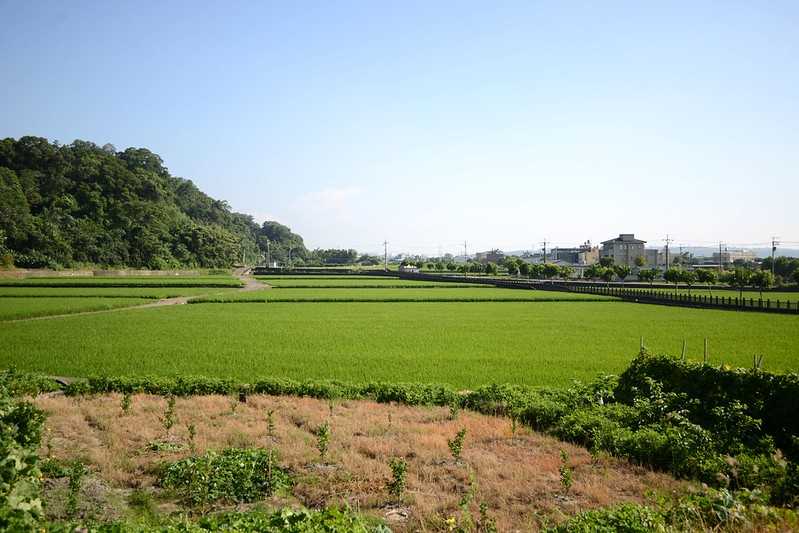 Taiwan-One-day tour in Taoyuan and Miaoli Garden. Rush Cultural Center Rice Field Painting and Chinese Pottery Kiln