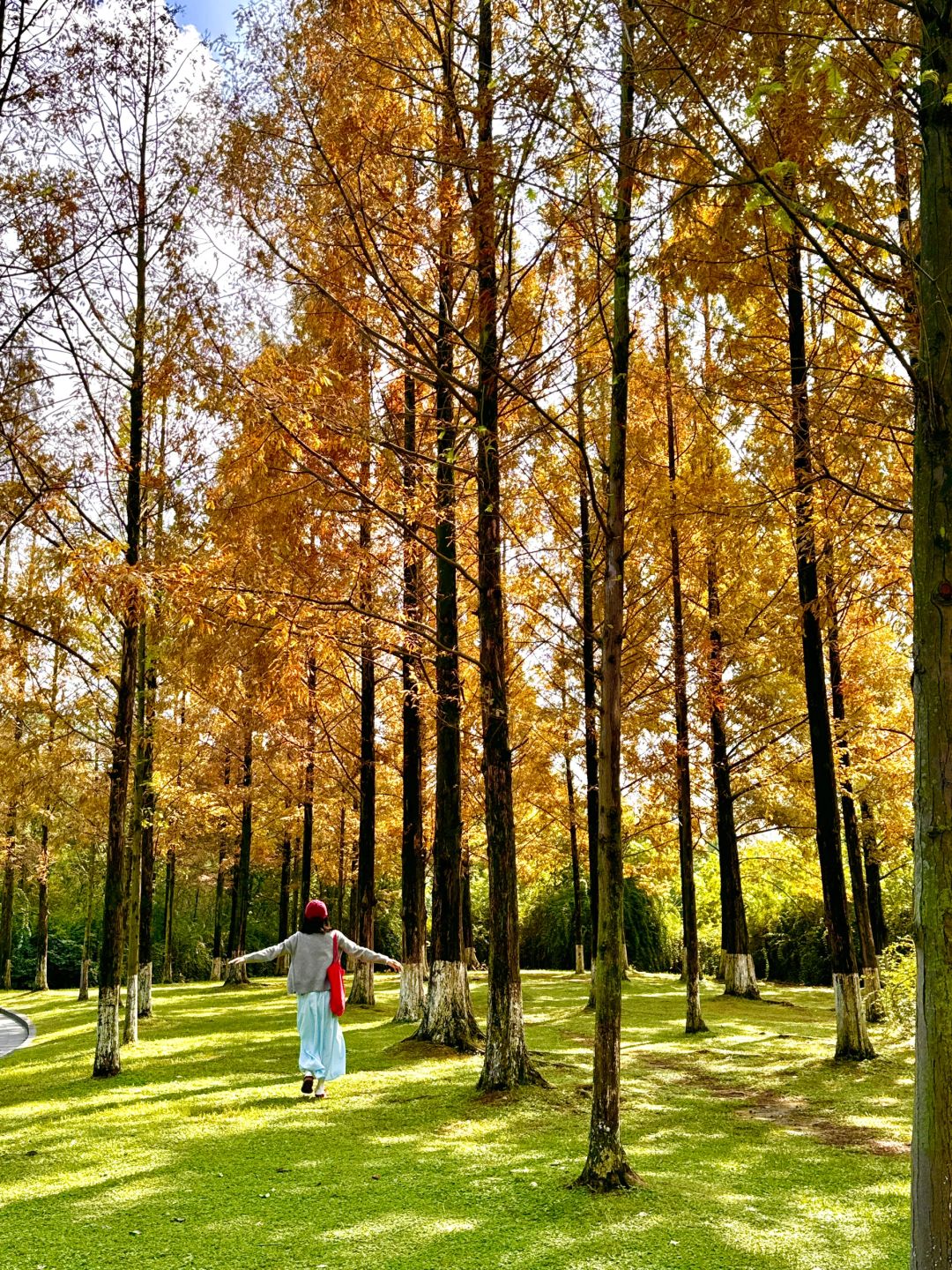 Chengdu/Chongqing-At Chengdu Nanhu Park, you can camp with your dog!