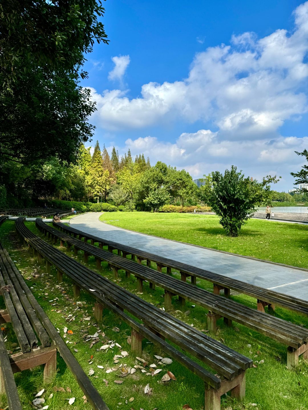 Chengdu/Chongqing-At Chengdu Nanhu Park, you can camp with your dog!