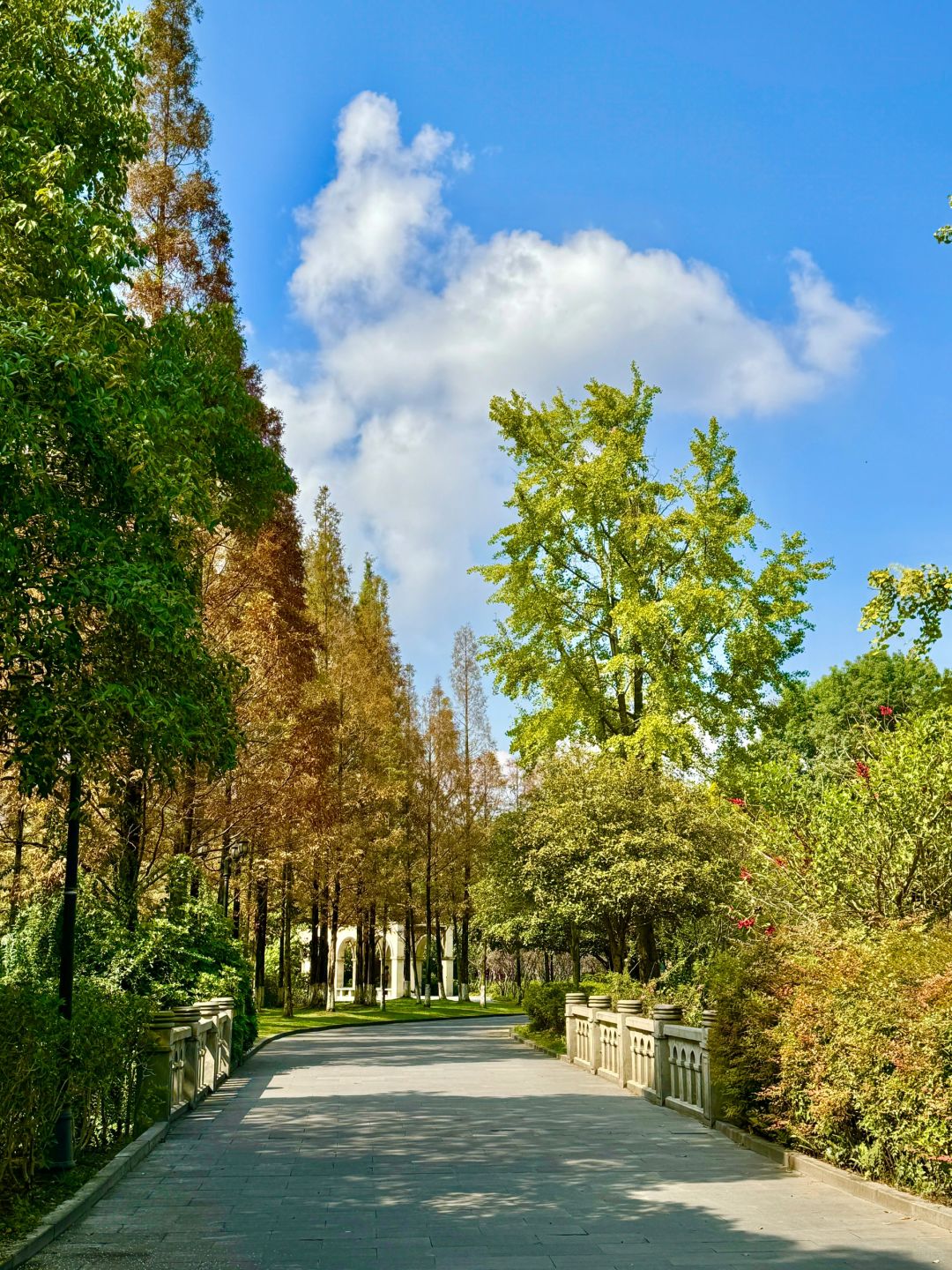 Chengdu/Chongqing-At Chengdu Nanhu Park, you can camp with your dog!